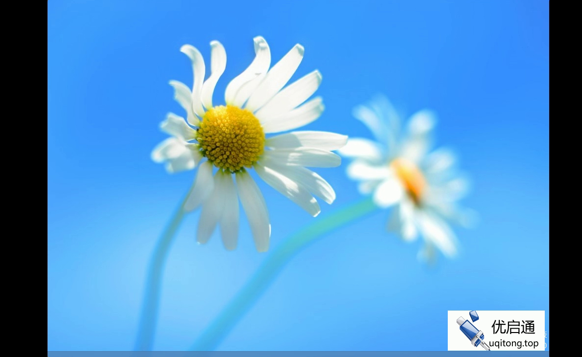 Windows 8安装完成,显示经典的蓝色雏菊锁屏壁纸